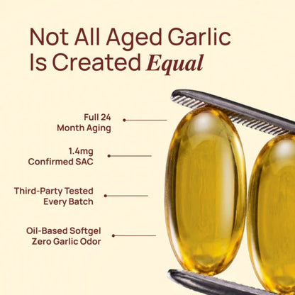 Aged Garlic Extract Softgels
