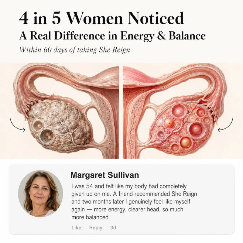 Menopause Support Supplement
