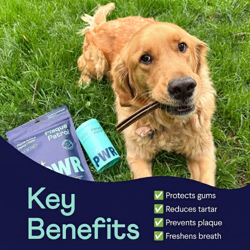 Dog Dental Care Powder