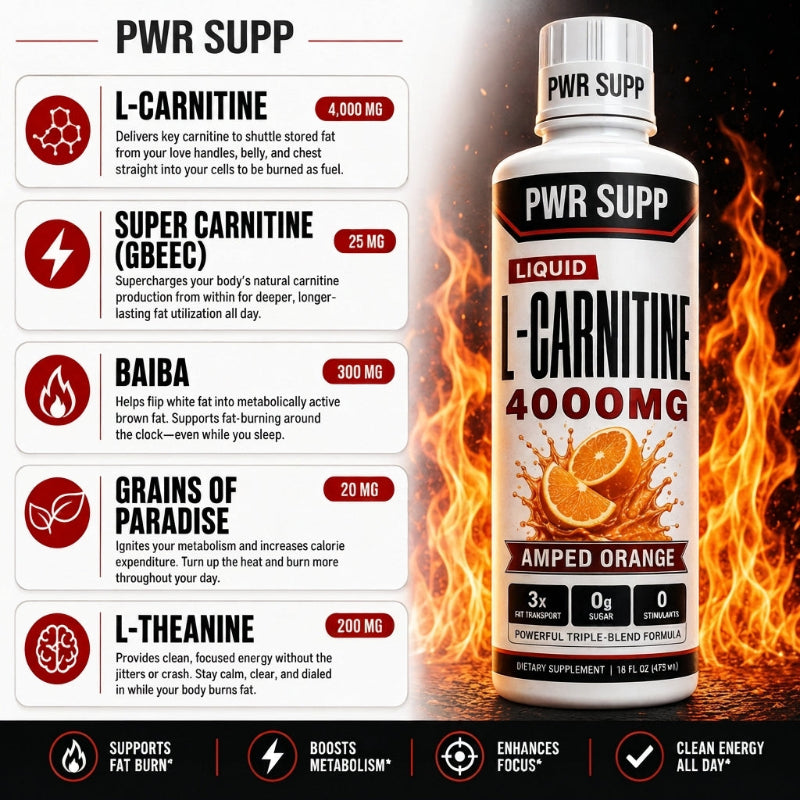 PWR SUPP L-Carnitine 4000mg