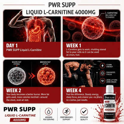 PWR SUPP L-Carnitine 4000mg
