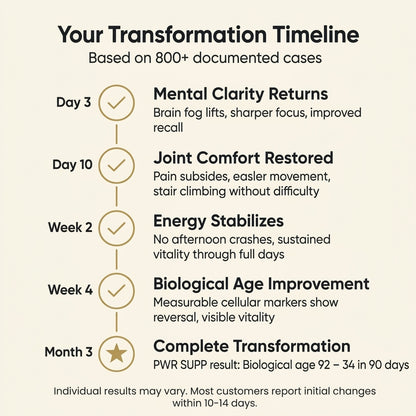 Longevity Fuel Daily Wellness Powder