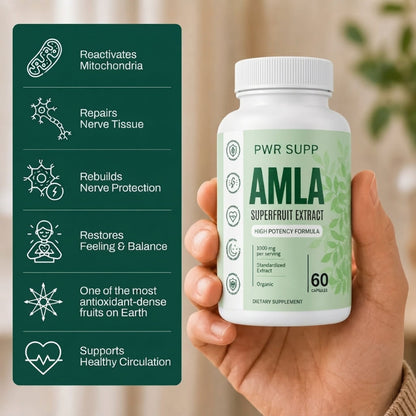 Amla Nerve Support Capsules