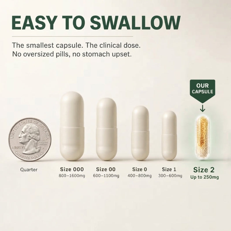 Stabilized R-ALA 600mg