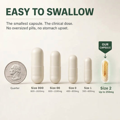 Stabilized R-ALA 600mg