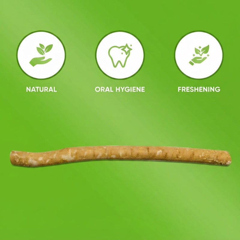 PWR SUPP™ Natural Toothbrush