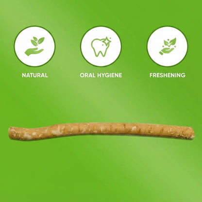 PWR SUPP™ Natural Toothbrush