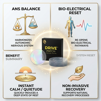 DRIVE PATCH