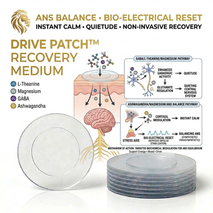 DRIVE PATCH