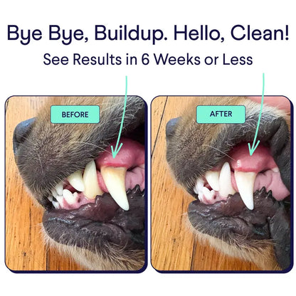 Dog Dental Care Powder